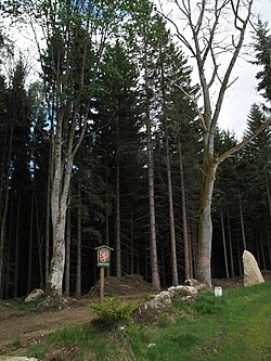 Stodůlecký vrch, pohled z Rakouska