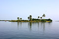 Image 59Bone Island, Batticaloa (from List of islands of Sri Lanka)