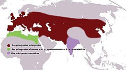 Mapa do hábitat orixinal das tres subespecies do uro