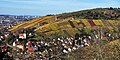 Landschaftsschutzgebiet „Wein- und Obstbaulandschaft Württemberg und Götzenberg“