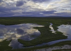 Pöyrisjärvi