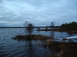 Pitkjärv (Dlouhé jezero), jedno z pěti jezer ležících na území obce