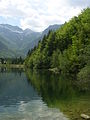 Uno scorcio del lago di Bohinj