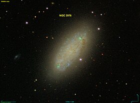 Image illustrative de l’article NGC 2976