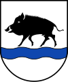 Cinghiale passante (Eberbach, Germania)