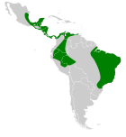 Aire de répartition de Diphylla ecaudata