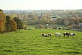 Uitzicht over Maarke vanaf de Kapelleberg