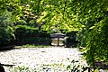 Lake and bridge outside the main buildings of the central unit (summer)