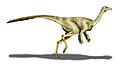 Struthiomimus