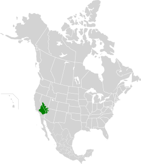 Mapa do deserto de Mojave na América do Norte