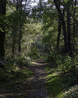 Noordlaarderbos