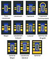 Veterinarian Ranks of the medical component.