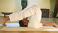 Halasana Plug