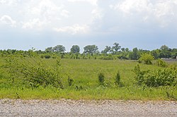 Park along Horseshoe Lake