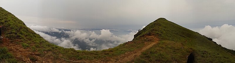 Panoramic view, trek to Kumara Parvatha (ಕುಮಾರ ಪರ್ವತದ ಒಂದು ವಿಹಂಗಮ ನೋಟ)