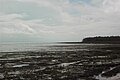 Pointe Isère, limite entre la mangrove (zone C) et la plage (zone A)