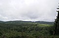 Typical wooded landscape of the Millevache Plateau, between Peyrelevade and Tarnac