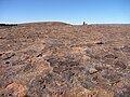 Felsformation „Moon Rocks“ im Augrabies-Nationalpark