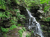 Ricketts Glen State Park