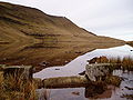 Fan Brycheiniog, a' bheinn as àirde ann an Sir Gaerfyrddin