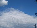 Stratocumulus mammatus