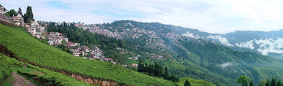 Panorama d'une ville à flanc de colline dans le fond, herbe et arbres à l'avant-plan.