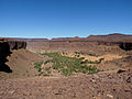 Image 6Terjit oasis in the Adrar Region (from Mauritania)