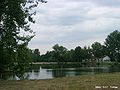 Pond in Chojnów