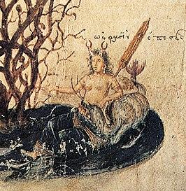 Thalassa afgebeeld in "Vienna Dioscurides" van Pedanius Dioscorides (detail).