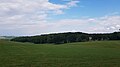 Het Wagelerbos gezien vanuit het zuidwesten