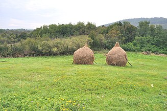 Tătărăști