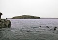 Diving Near Fergus Island