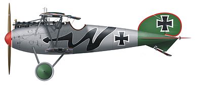 Albatros D.Va, Hans von Hippel, Jasta 5