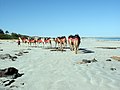 Cable Beach, Broome, Western Australia