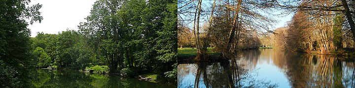 La Sèvre à Échiré en août 2012 et en décembre 2014.