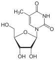 Ribotimidino