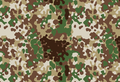 Flecktarn dezerzh kenwerzhel