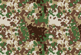 Կոմերցիոն Arid Flecktarn