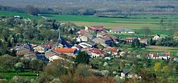 Skyline of Brandeville