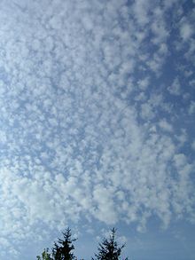 Cirrocumulus 20040830.jpg