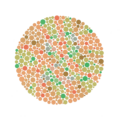 Tavola di Ishihara n. 19: chi è affetto da discromatopsia rosso-verde può individuare una linea, ma non chi ha una visione normale.