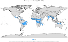 Koppen-Geiger Map Aw present.svg