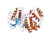 2ojg: Crystal structure of ERK2 in complex with N,N-dimethyl-4-(4-phenyl-1H-pyrazol-3-yl)-1H-pyrrole-2-carboxamide