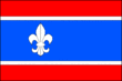 Vlag