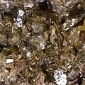 Phlogopite - mont Somma Italie - (vue 1 cm)