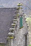 Pas de moineaux en Couserans (Ariège).