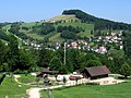 L'agriculture moderne contribue au mitage de la forêt mais certaines pratiques agro-sylvo-pastorales, selon les traditions et le mode de propriété foncière, maintiennent un bon niveau de biodiversité. De l'Antiquité à nos jours, des formes d'agrosylviculture et de forêts paysannes ont intimement mêlé arbre et culture.