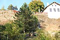 Stadtmauer Drosendorf 0843