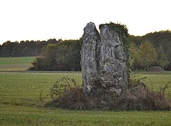 Photographie du menhir du Piprais