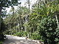 Parque municipal de Elche